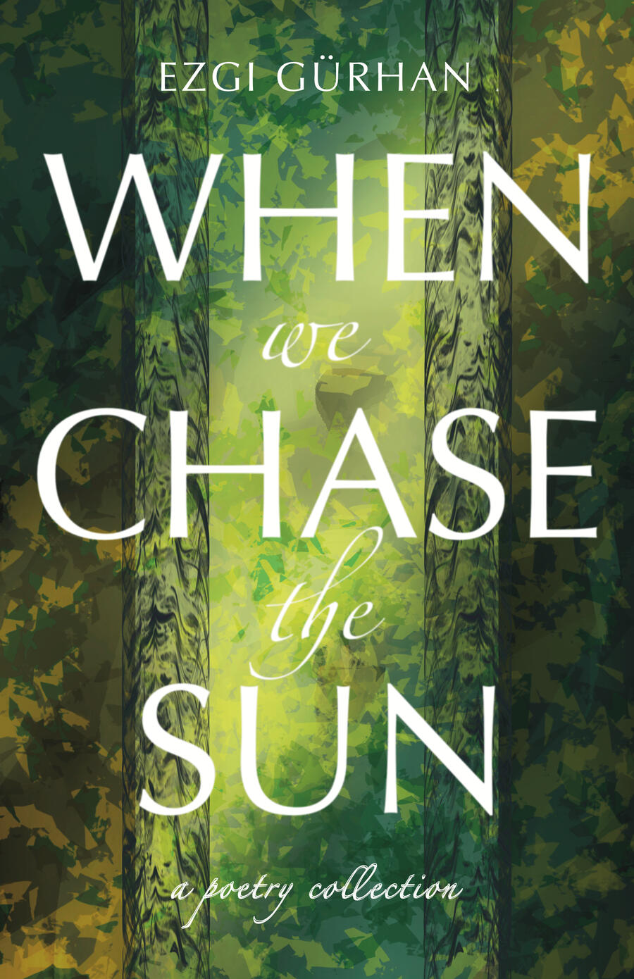 When We Chase the Sun